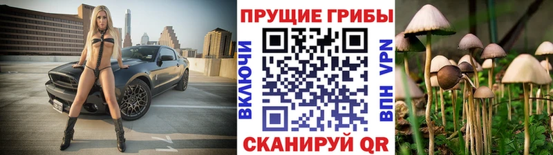 Купить  Мамоново  Галлюциногенные грибы GOLDEN TEACHER 